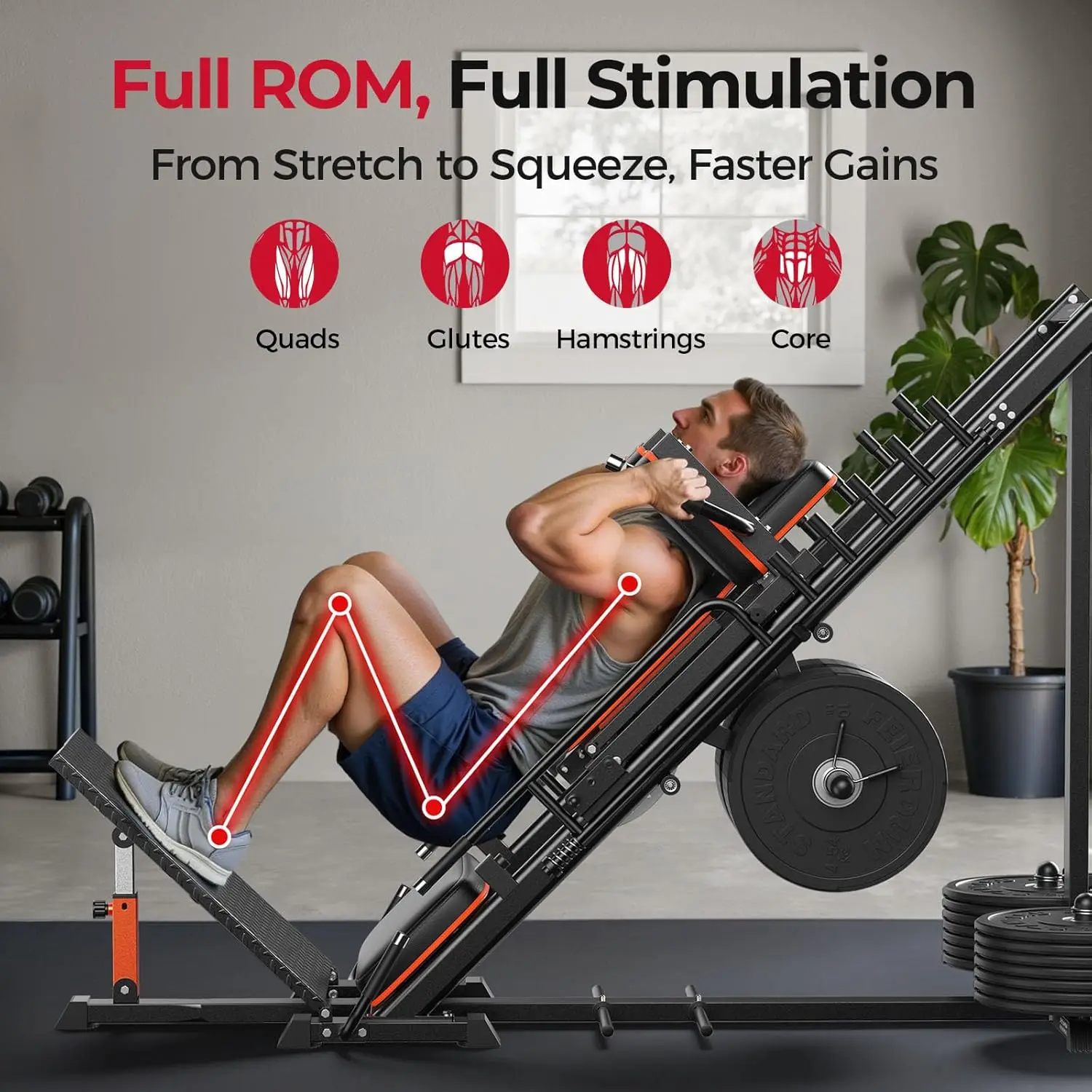 3‑in‑1 Leg Press Hack Squat Ma - огляд і ціна Home Gym With Leg Press