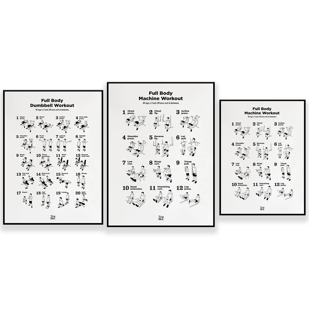 Dumbbell Workout Poster,Gym Po - огляд і ціна Home Gym York