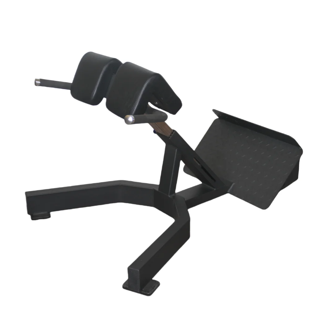 Factory Price Roman Chair Back - огляд і ціна Home Gym Price